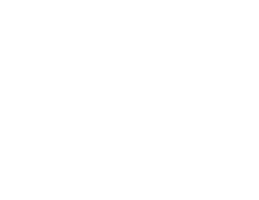 Opssi