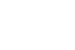 OPT